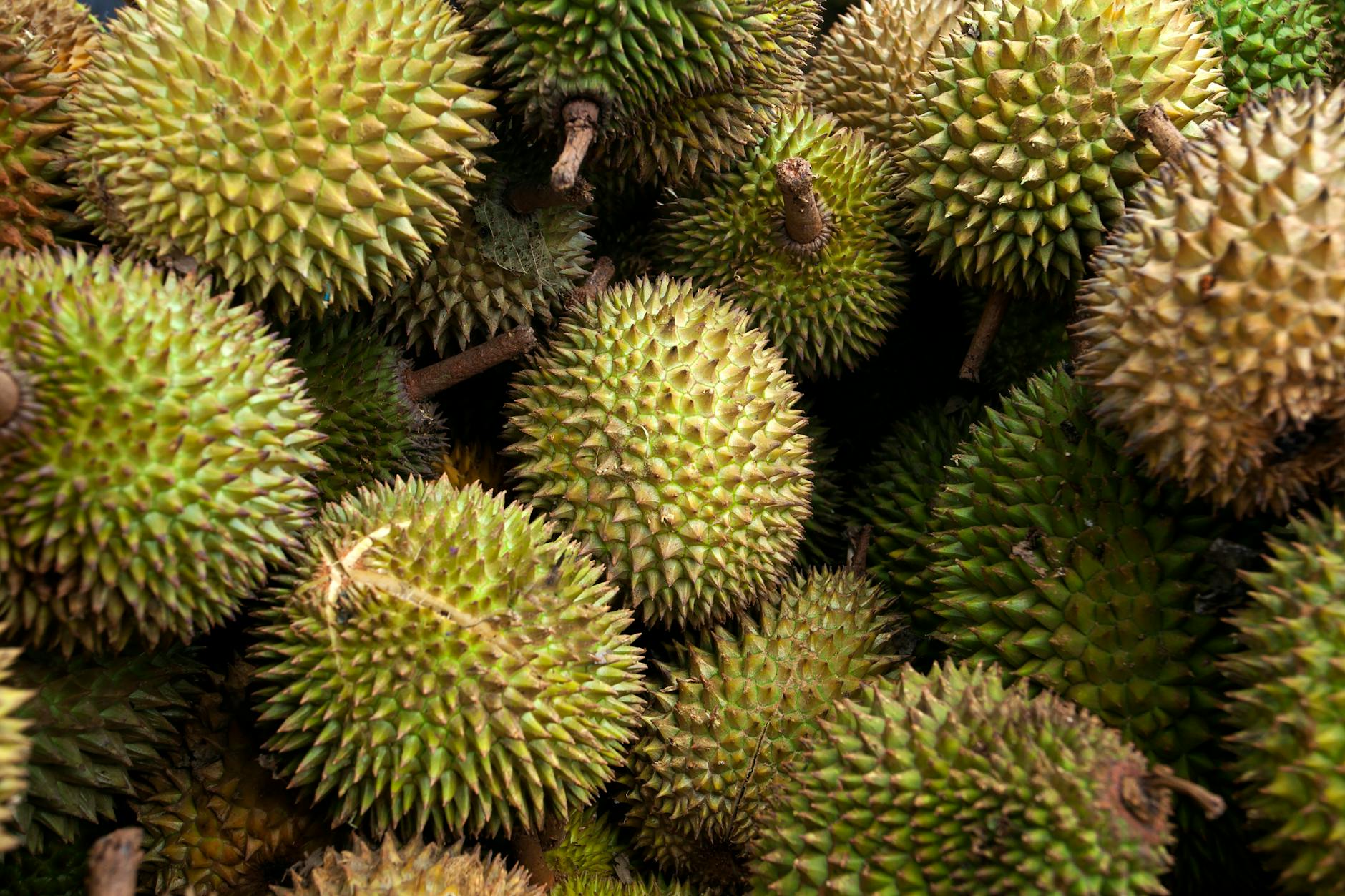 小王同学